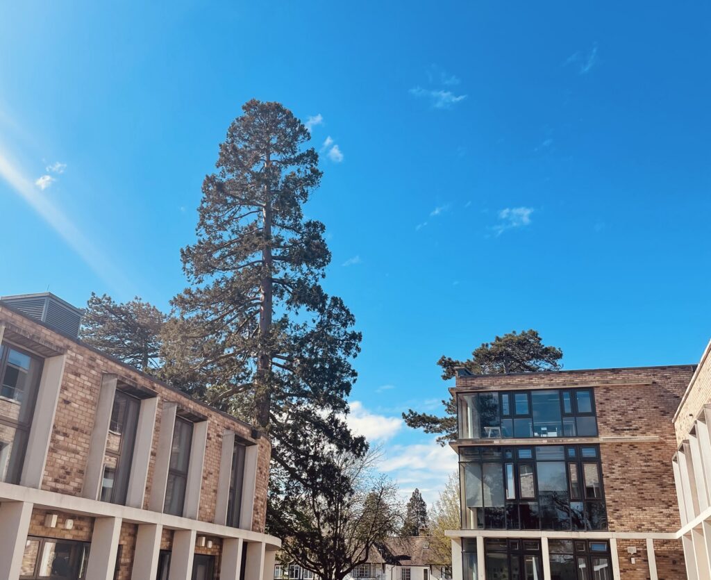 Blue skies and big academic goals