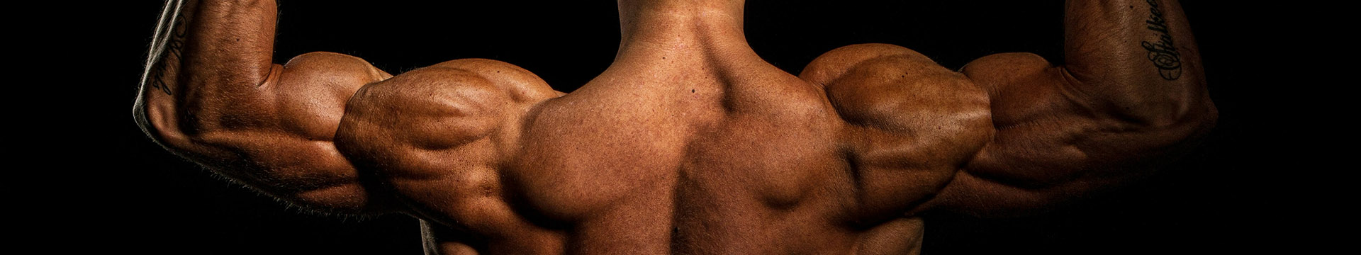 BTEC Applied Human Biology - yep we can help you revise that!