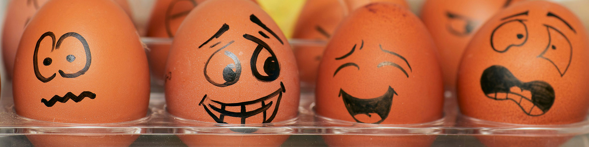 Come revise for your psychology exams with us.