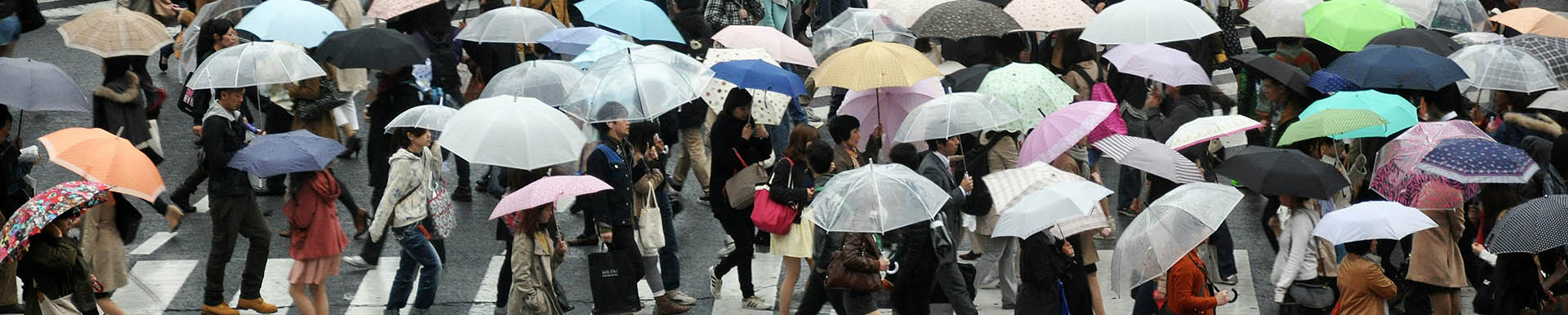 A Level, GCSE and IGCSE Sociology revision courses.