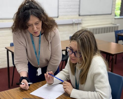 Tutor helps student