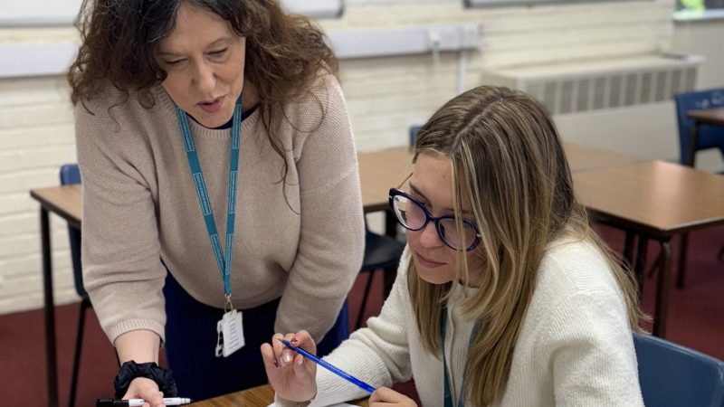 Tutor helps student