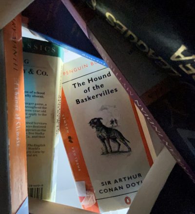 English Literature - Books Image